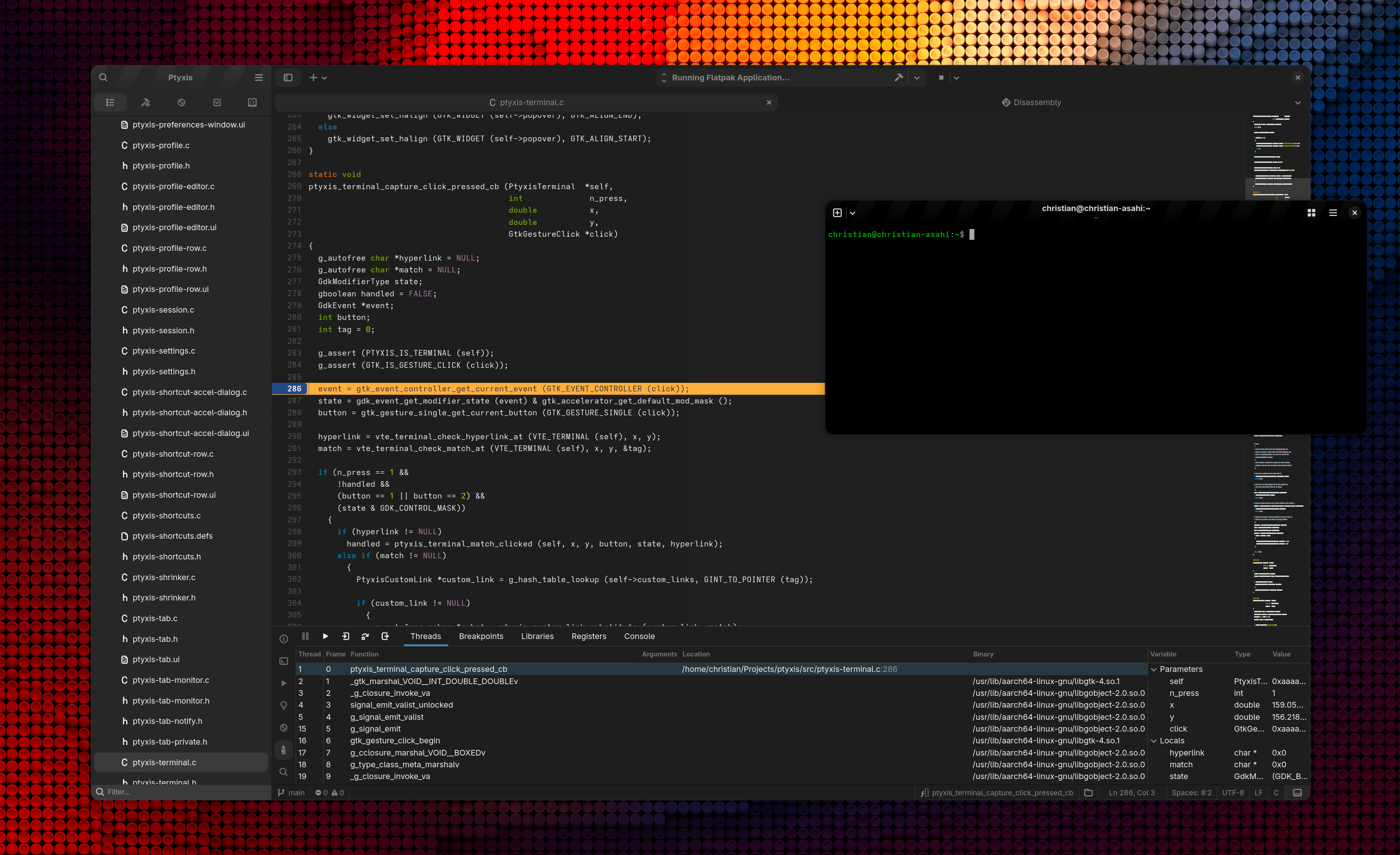 Builder IDE Debugger Interface