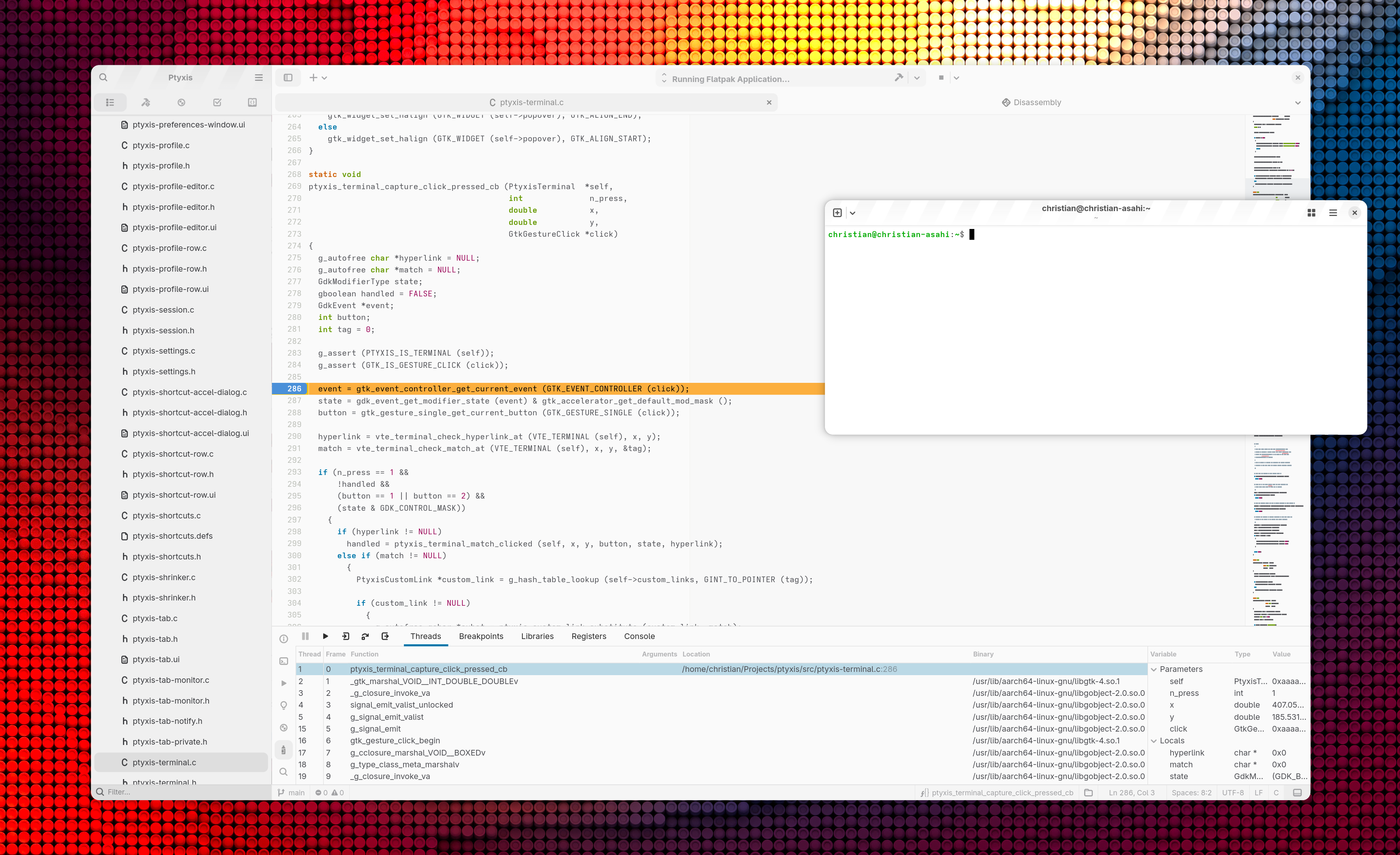 Builder IDE Debugger Interface